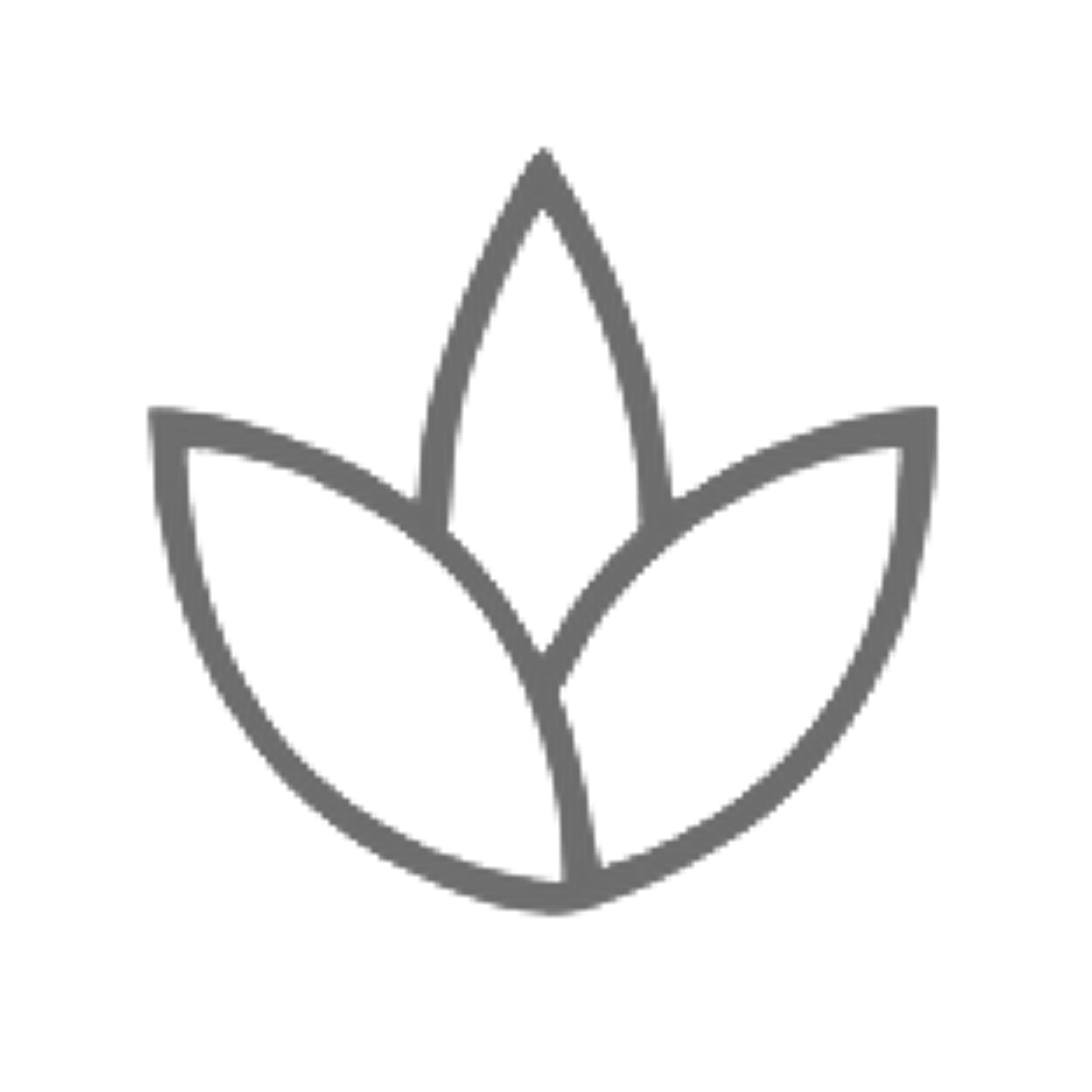 Stylized leaf logo in black outline.